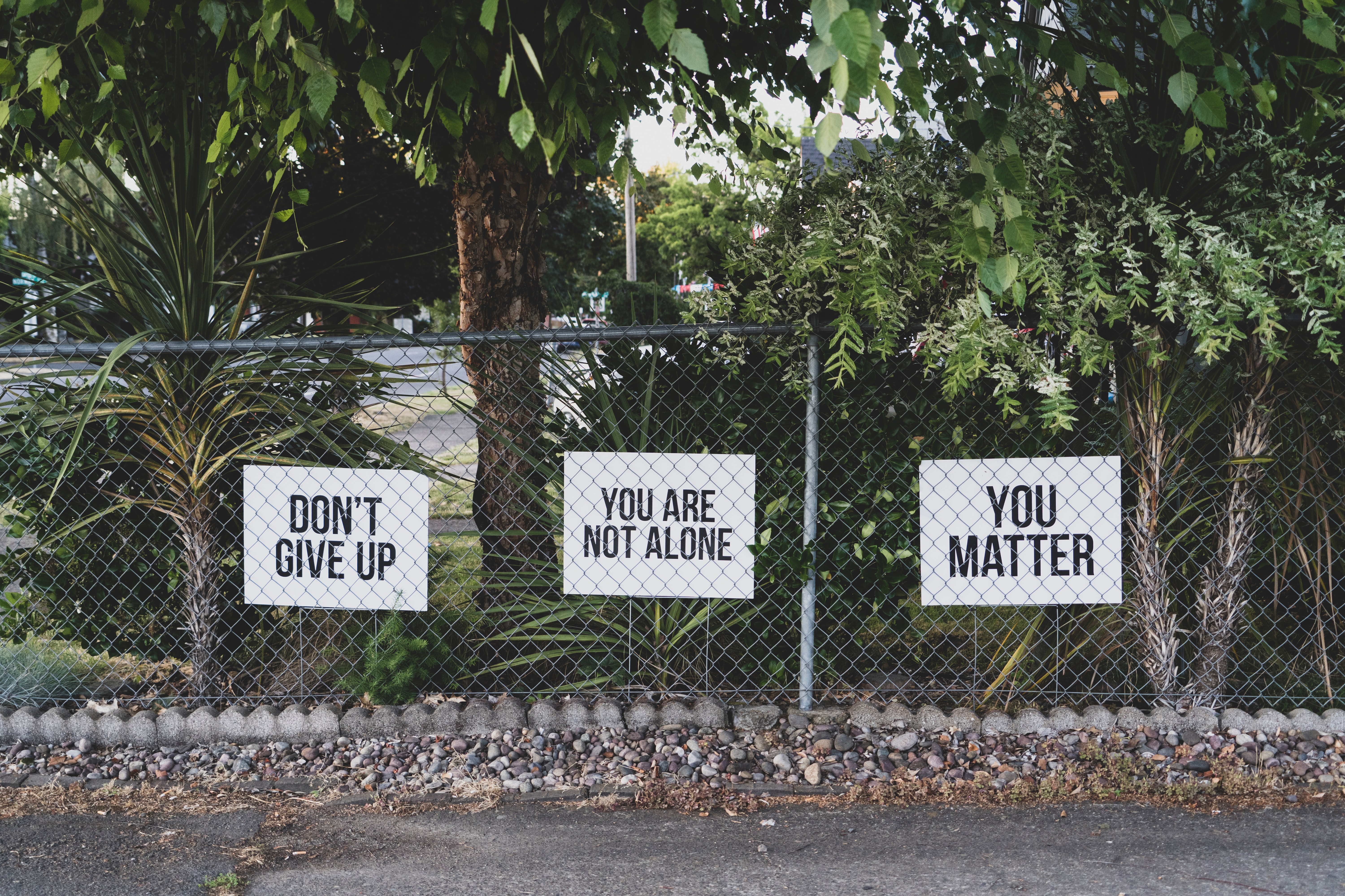 Don't give up. You are not alone. You matter